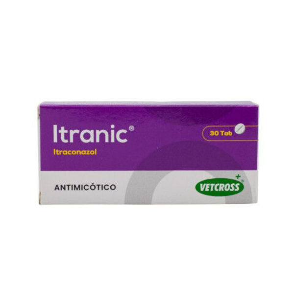 Imagen de Itranic 30 comprimidos